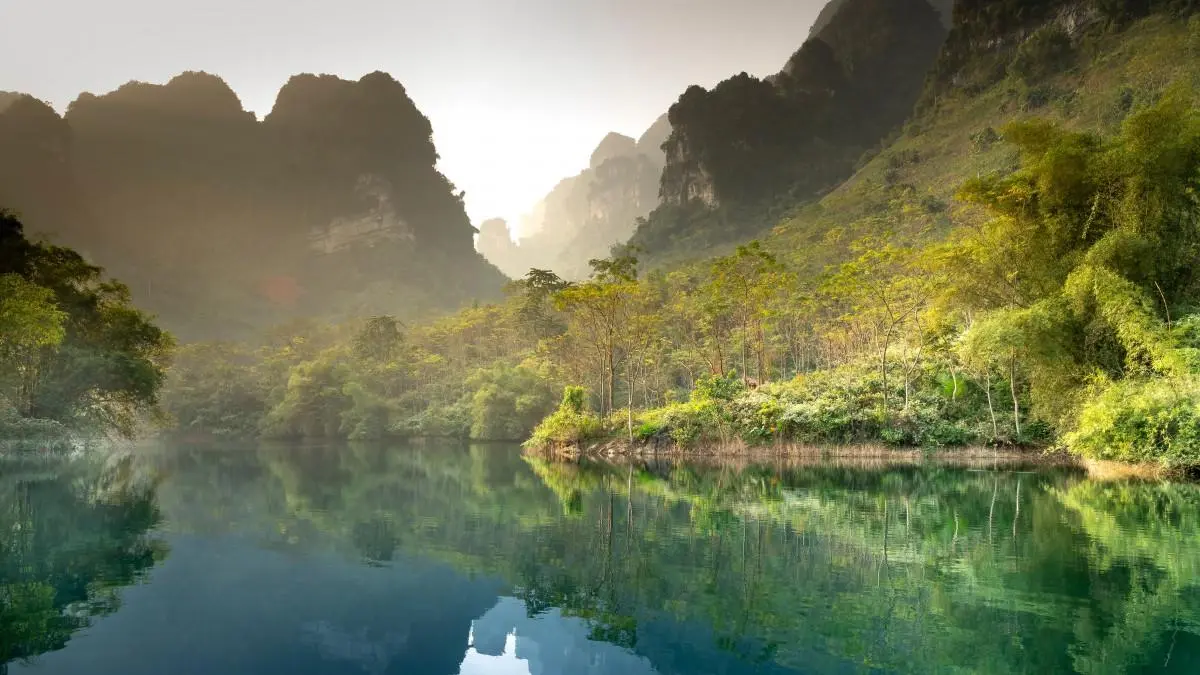 智能系统精密先进